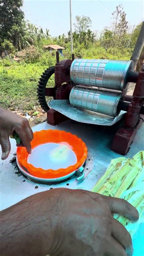 Pure Hygienic Sugarcane Juice Making 😳🍹