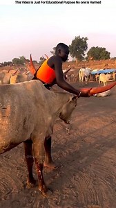 771K views · 3K reactions | Shocking Rituals of African Tribes! #reelschallenge #reels #reelsvideo #facts | MR Obaydul Facts | Facebook