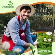 White Dutch Clover Seeds For Planting, Lawns, Erosion Control, Ground Cover Bulk Drought Tolerant