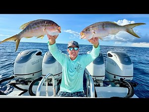 160 Miles on a 1.2 Million $ Boat! (Yellowtail Snapper Catch Clean & Cook)