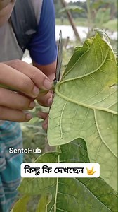 3.3M views · 10K reactions | Desert Survival Skills || #outdoors #camping #survival #bushcraft #skills #sentohub | Sentopro | Facebook