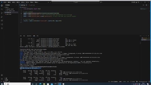 使用 Ultralytics YOLO 进行模型训练
