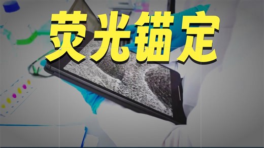 探秘CY5.5-COOH的双重特性及其在生物成像中的广泛应用