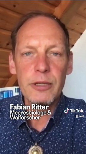 Seit über drei Wochen liegt Buckelwal Timmy vor der Insel Poel im Schlick. Doch warum fasziniert sein Schicksal so viele Menschen? Wir sind vor Ort und suchen nach Antworten. Im Interview haben wir den Walforscher und Meeresbiologen Fabian Ritter. #hope #timmy #buckelwal #wal #interview Host und Skript: @alexanderholl Schnitt: @niklaspunktbraun Redaktionsleitung: @Linda Friese @headofhochkant Musik: Viacheslav Starostin from Pixabay