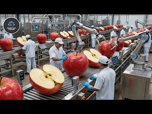 Inside a Modern Apple Factory: From Farm to Fresh Dessert (The Whole Process)
