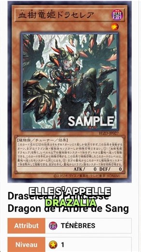 Du Nouveau support pour le deck dragon rose noire