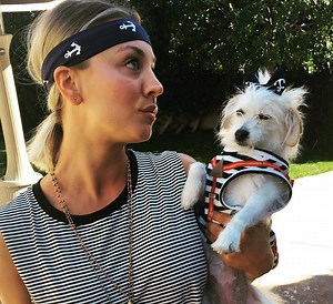 In honor of The Big Bang Theory's Kaley Cuoco's birthday , here are some insanely cute pet pics. | Yahoo News