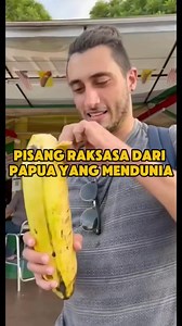 Musa Ingens: Pisang Raksasa dari Papua #MusaIngens #PisangRaksasa #KeanekaragamanHayati #Flora #hutan | Kamus Ai