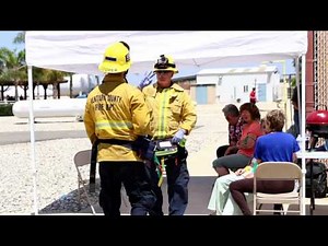 DMS 6-bay triage ribbon dispenser