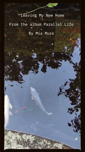 Leaving My New Home Parallel Life Mia Muze © The Navajo Chief 🪶 #navajo #navajoland #azan