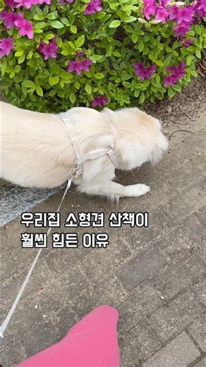 말랑이는 급한 일 있니?