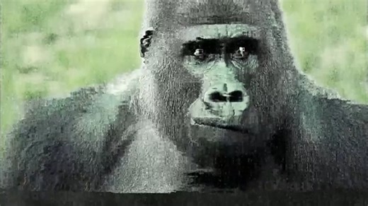 画质信号全拿下，双11热门轻薄本指南