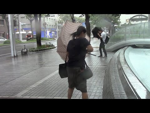 台風２１号 次々折れる傘、瞬間的に強まる風雨 名古屋市内