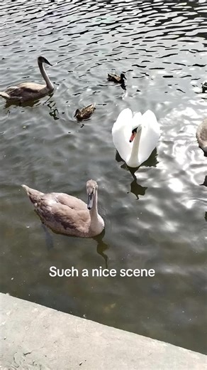 You can earn more time and freedom traveling and seeing sights. That can be your life if you choose digital marketing