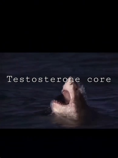 Song: trust in a lie ⛓️Amplector lapsus⛓️ #wearengine #amplectorlapsus #newmusic