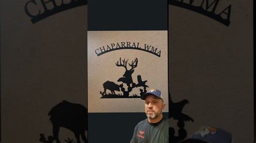 Warthogs in Texas: A Rare Wildlife Phenomenon