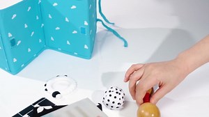 Montessori Toys for Babies 0-6 Months, 9 in 1 Learning Educational Sensory Toys for Newborn 0-3-6 Months, Includes High Contrast Cards, Baby Tissue Box Toy, Spinning Drum, Teether and More