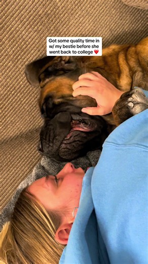 Mastiff Hugs and Quality Time with Bestie