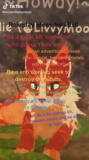 Warrior Cats RP Kit Roleplay Ideas
