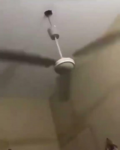 Ceiling fan fall down