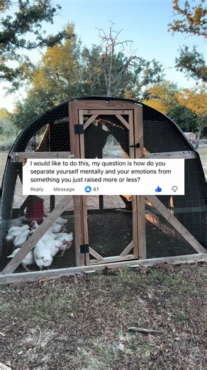 Raising your own meat isn't about detachment. It's about intention. If you're considering meat chickens but aren't sure you can walk through processing day - that's exactly why I created Pasture to Plate: Meat Chickens 101. It shows you what you're saying yes to before you ever order chicks. https://stan.store/obiedofamilyfarm/p/pasture-to-plate-meat-chickens-101 • Welcome to our life out here! Hi, I'm Erika. My husband and I left the city to build our family farm from the ground up. We raise da