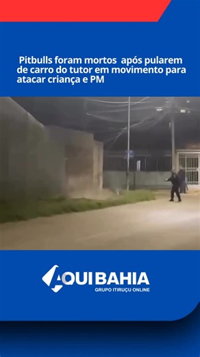 Itiruçu Online on Instagram: "Na noite de Natal, dois cães da raça Pitbull atacaram um cachorro e um policial na quadra 17 do Setor Sul do Gama (DF). A Polícia Militar foi acionada pelos moradores para conter os animais agressivos que estavam soltos. Para garantir a segurança dos moradores, a polícia optou por abater os cães. Um policial foi ferido durante a ação e levado ao Hospital Regional do Gama, onde foi atendido e liberado. O tutor dos cães foi conduzido à delegacia por lesão corporal e o