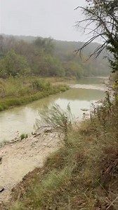 9K views · 198 reactions | A rainy, misty haze has settled over Dino...