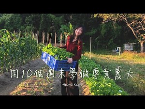 CITY GIRL做農夫 從零開始打造有機農田 | LIBBY FARM VLOG
