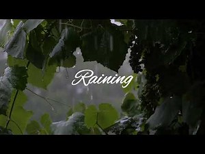 "Peaceful Thunderstorm Sounds | 28 Min Rain & Thunder for Relaxation"