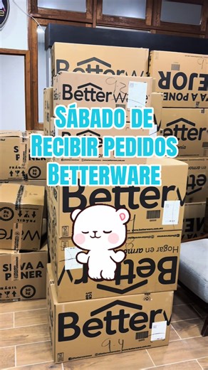 Y a ti como te fue este cierre de catálogo en Betterware 💖✨ #betterware #febrero #pedidos #amoloquehago #soylizethgarcia