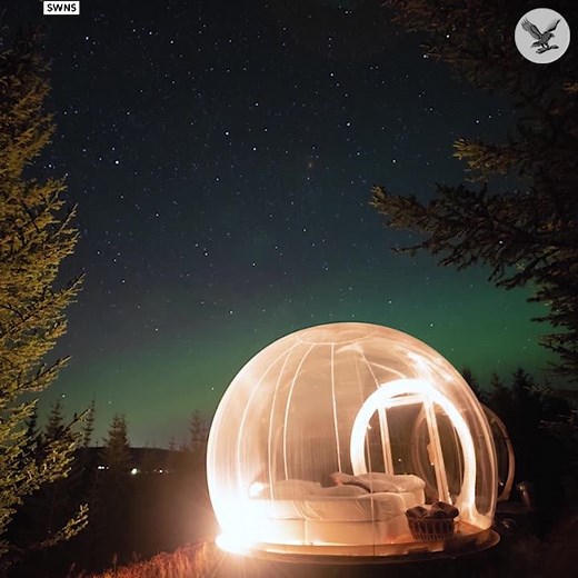 124K views · 998 reactions | Northern lights captured in stunning footage from 'bubble hotel' in Iceland | The Independent | Facebook