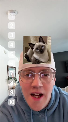 BLIND RANKING CATS 🐈 #fyp #cam2r #catsoftiktok #cat #viral | cats