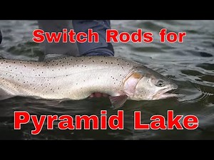 Switch Rods for Pyramid Lake