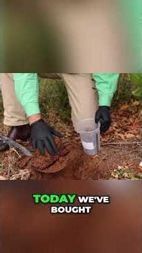 How to take a soil microbiome test (Part 2)