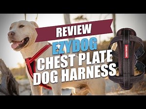 EzyDog Chest Plate Dog Harness Review