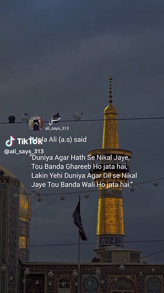 عـــــلـی on TikTok