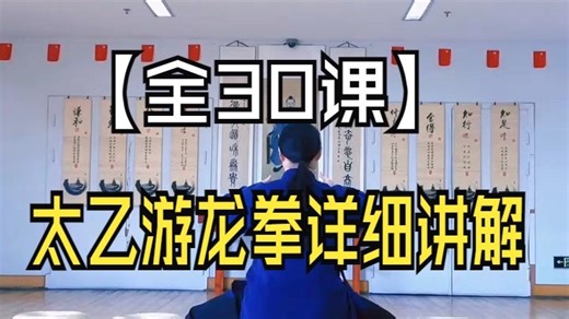 【全30课】太乙游龙拳详细讲解
