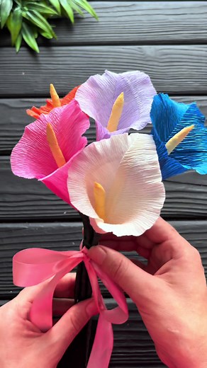 Origami Amazing на TikTok