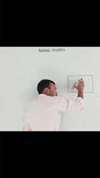 Real-Life Problems Related to Quadratic Equations 🌍📐