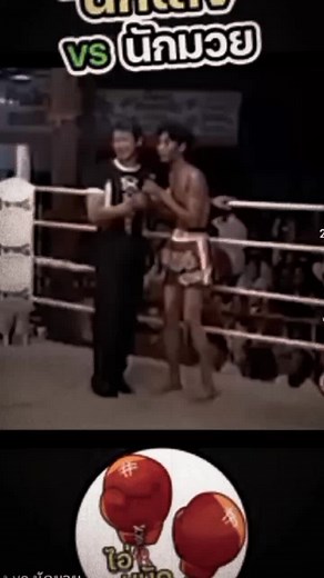 Muay Thai Boxing Match Highlights in Indoor Arena