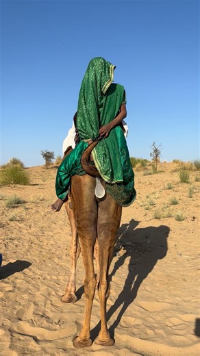 Ramjani Payasi on Instagram