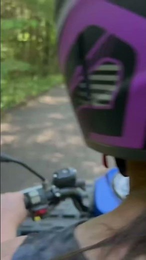 Black River Trails in Wisconsin Woods