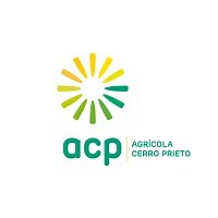 Agricola Cerro Prieto S.A - Página Oficial | LinkedIn
