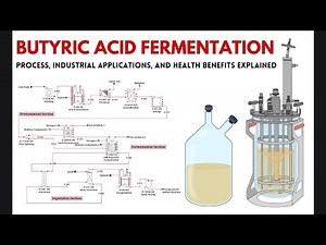 Butyric Acid Fermentation: Process, Applications & Health Benefits | Industrial Microbiology