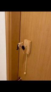 9.2K views · 25 reactions | Idée de Business pour toi, que tu sois menuisier ou pas. Facile à fabriquer par un menuisier dans ton pays. En Chine il se vend au consommateur final à 1,5$(900fcfa). Sois compétitif 欄, quelques images en commentaire. +8619586419067 ou #woodpecker #doorbell #funnyvideos #funny #cute #asmr #gift #kawaii #kpop #ecommerce #ideascreativas #businessideas | E-Commerce 2.0 | Facebook