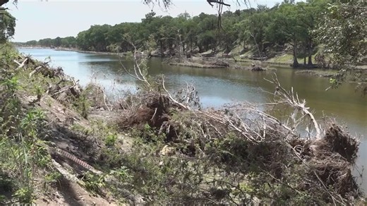 3% of Central Texas homes in flood zone had federal flood insurance: report
