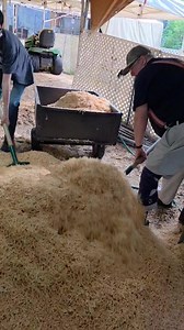 60K views · 582 reactions | Video from earlier this week of my step son helping papa out to haul off some of our woodchips! #papaswoodentoyshop #thisishowpapadoesit | Papa's Wooden Toy Shop | Facebook