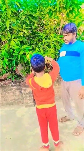 jamun girega #shortviedo #tendding #comedy #funny #viralvideo