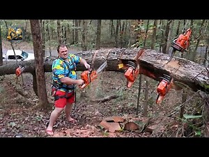Idiots With Chainsaws: Tree Cutting Fails | Extreme Dangerous Logging Truck Fails #15