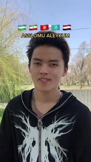 Global Greetings: Hand Gestures Across Cultures